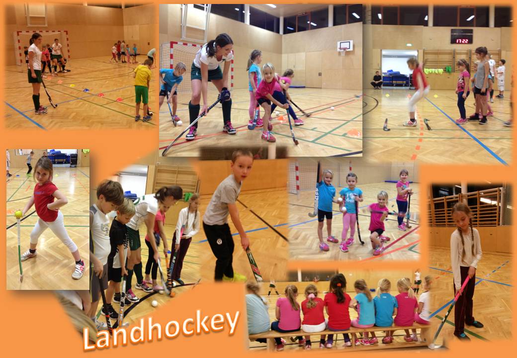 Landhockey